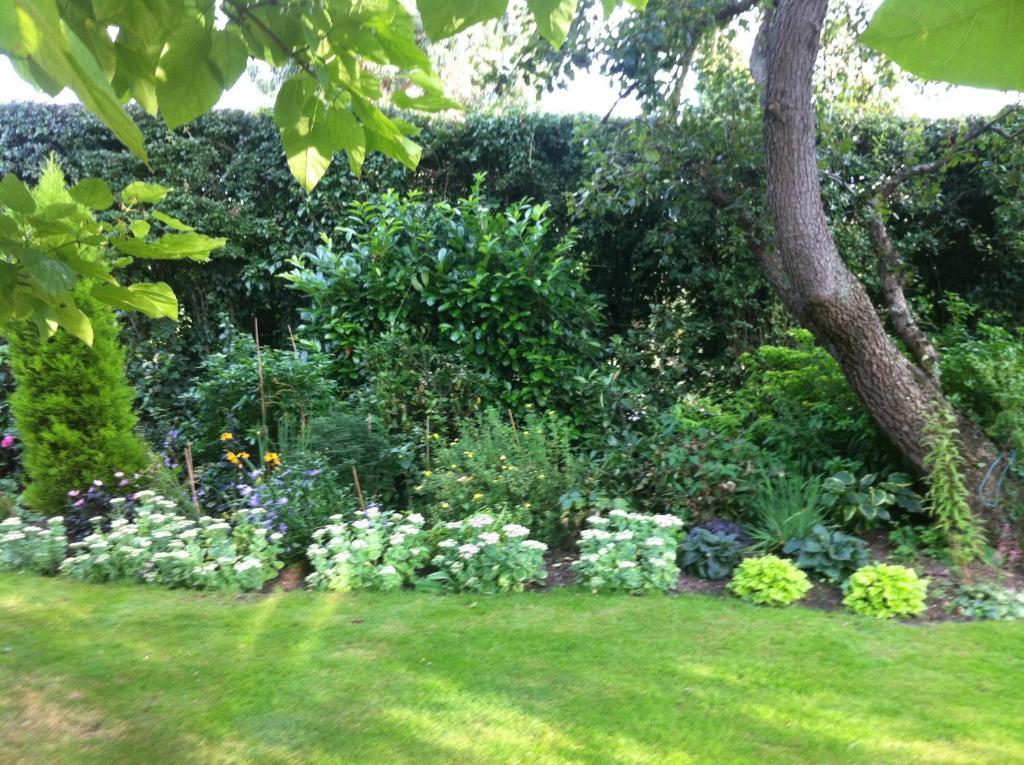 Bonningtons Stansted Self Catering Hotel Stansted Mountfitchet Szoba fotó